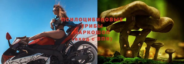 mdma Горняк
