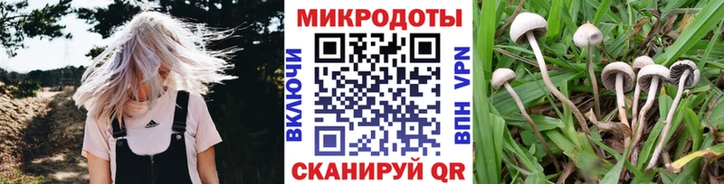 Галлюциногенные грибы GOLDEN TEACHER  Долинск 